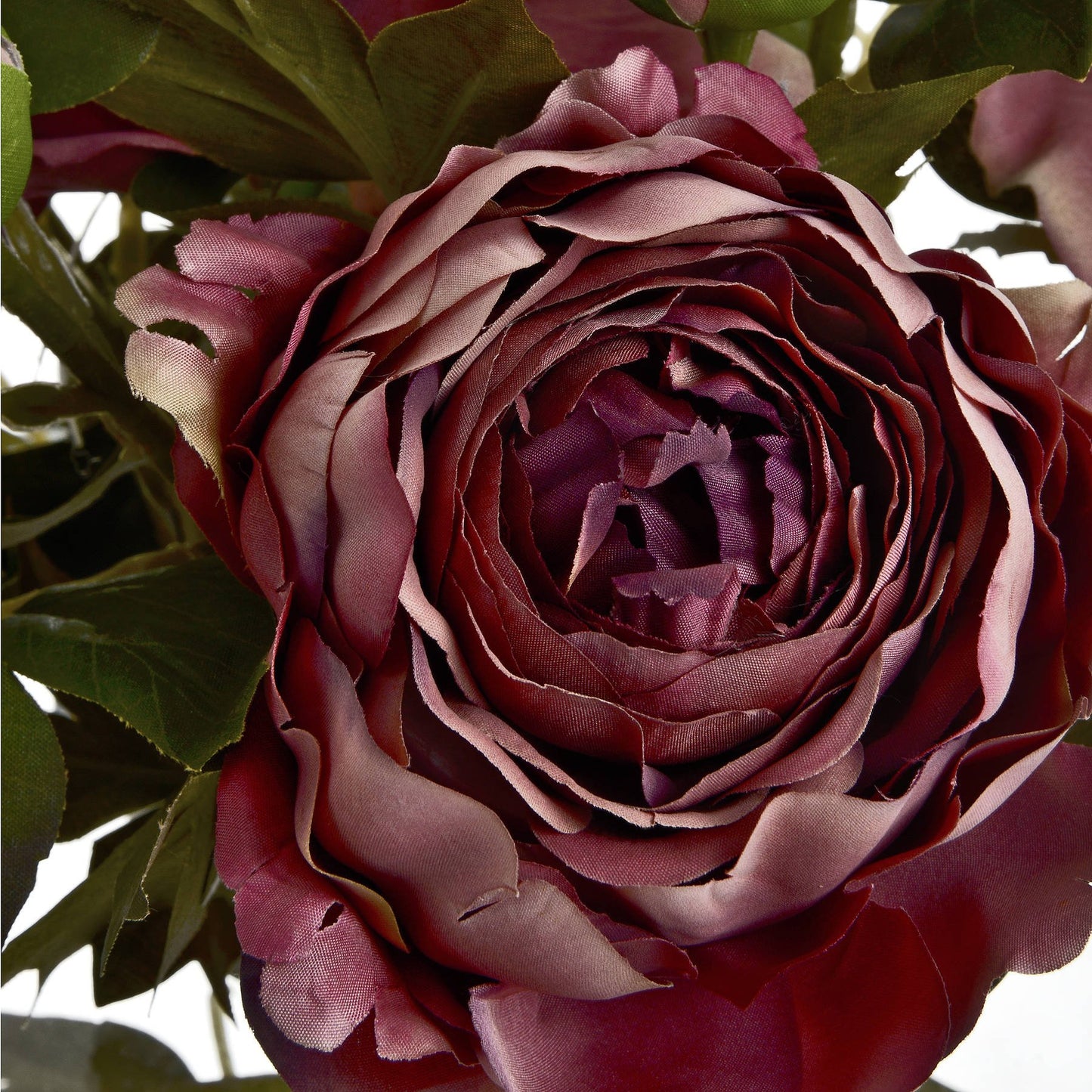 Skandi London Dusty Pink Spray Rose Peony - Skandi London