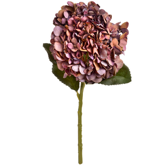Skandi London Autumn Coffee Hydrangea - Skandi London