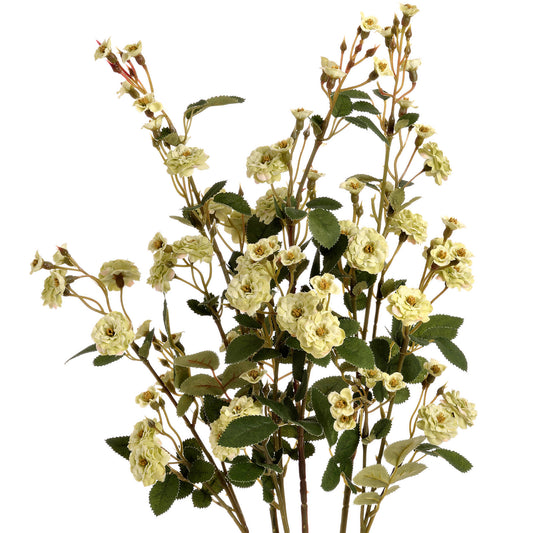 Skandi London Green Wild Meadow Rose - Skandi London