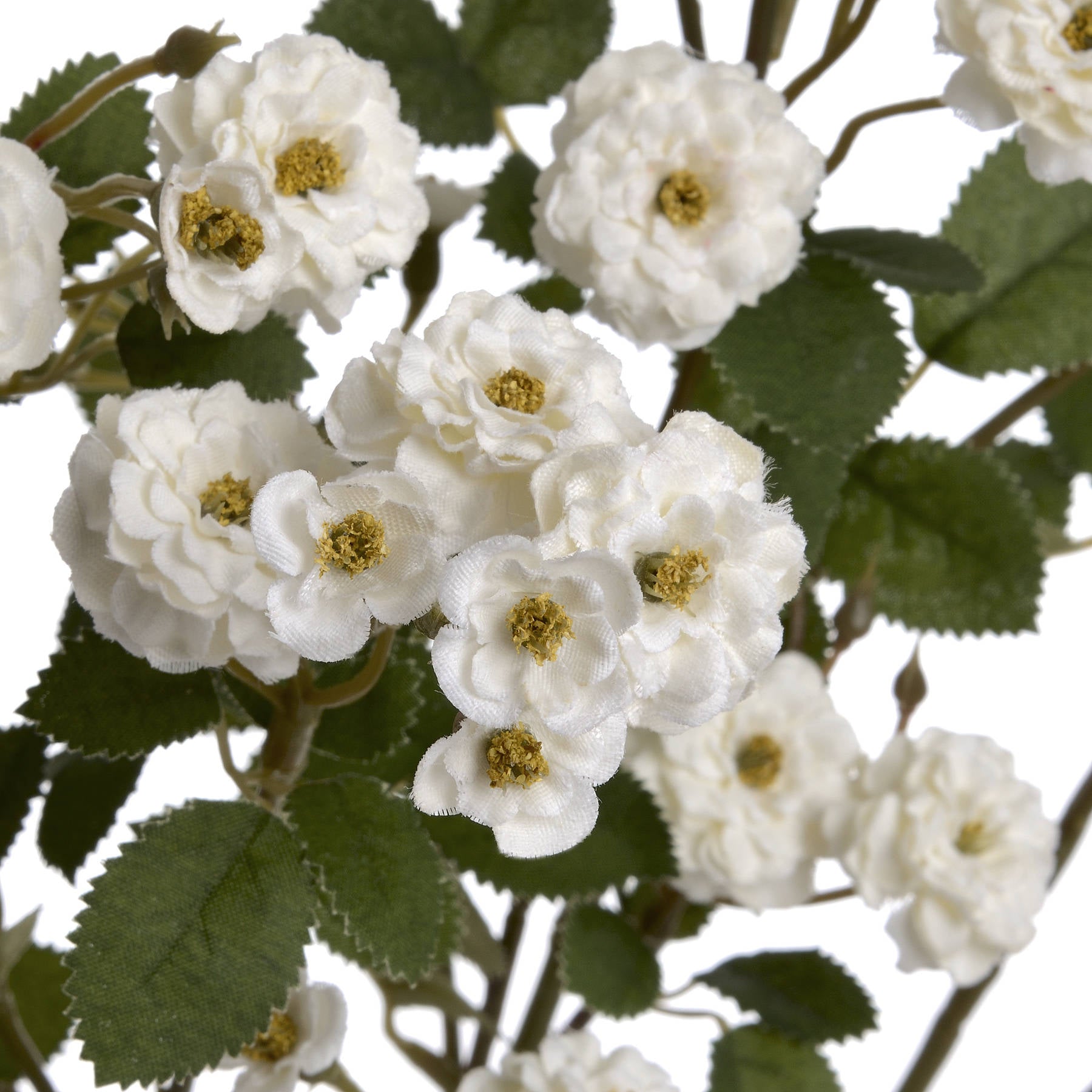 Skandi London White Wild Meadow Rose - Skandi London