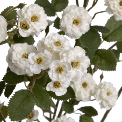 Skandi London White Wild Meadow Rose - Skandi London