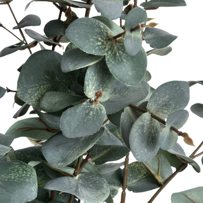 Skandi London Variegated Eucalyptus - Skandi London