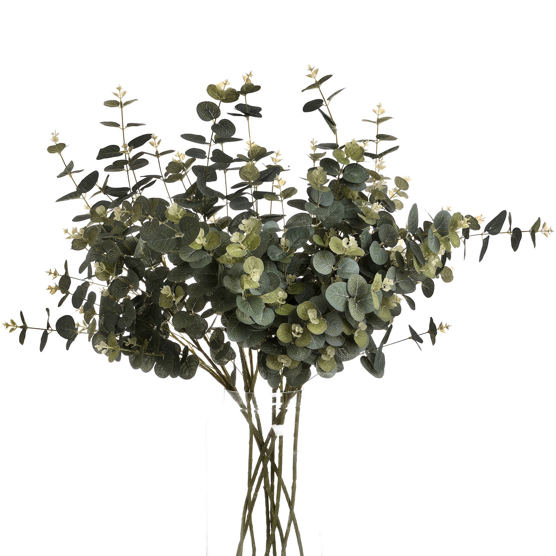 Skandi London Eucalyptus Spray - Skandi London