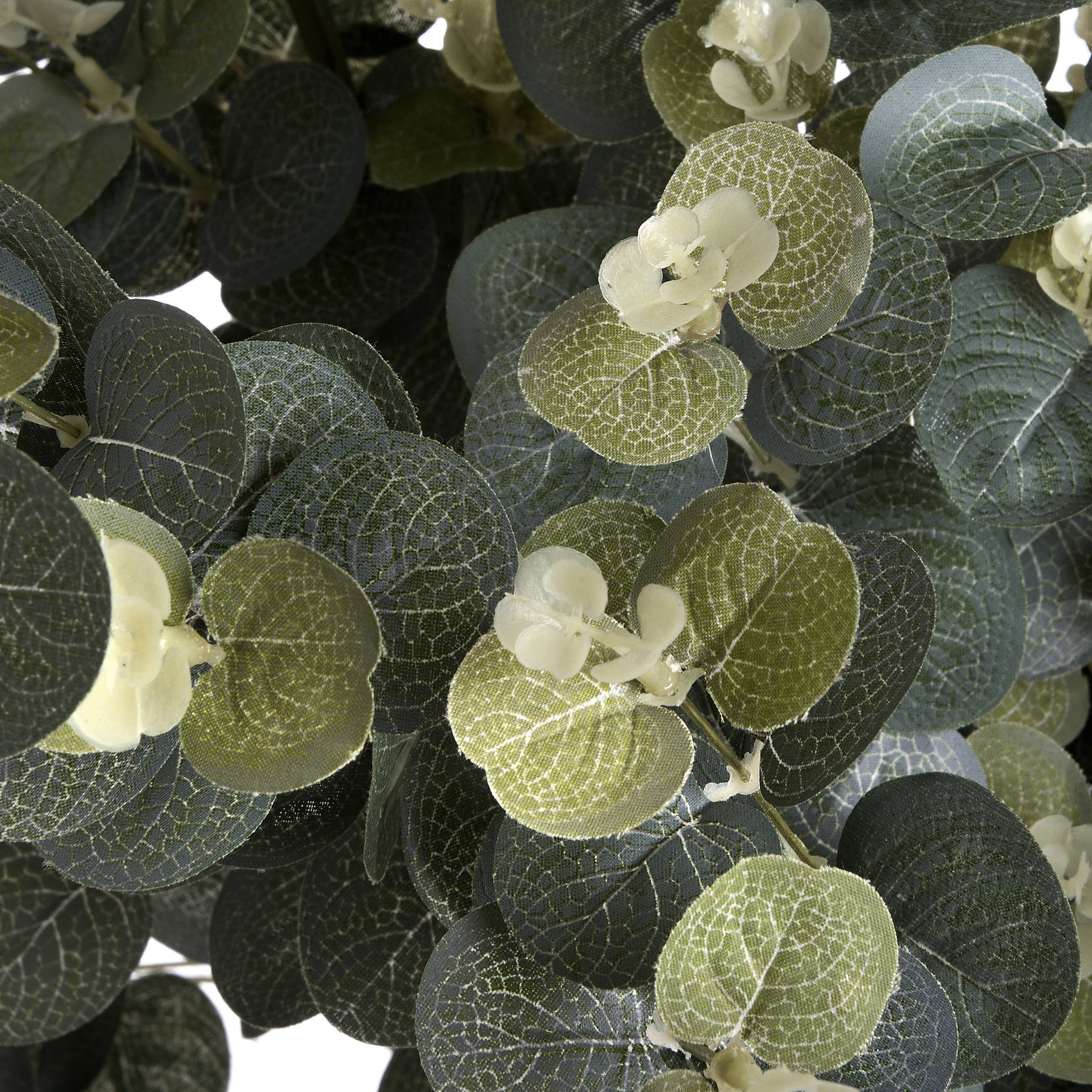 Skandi London Eucalyptus Spray - Skandi London