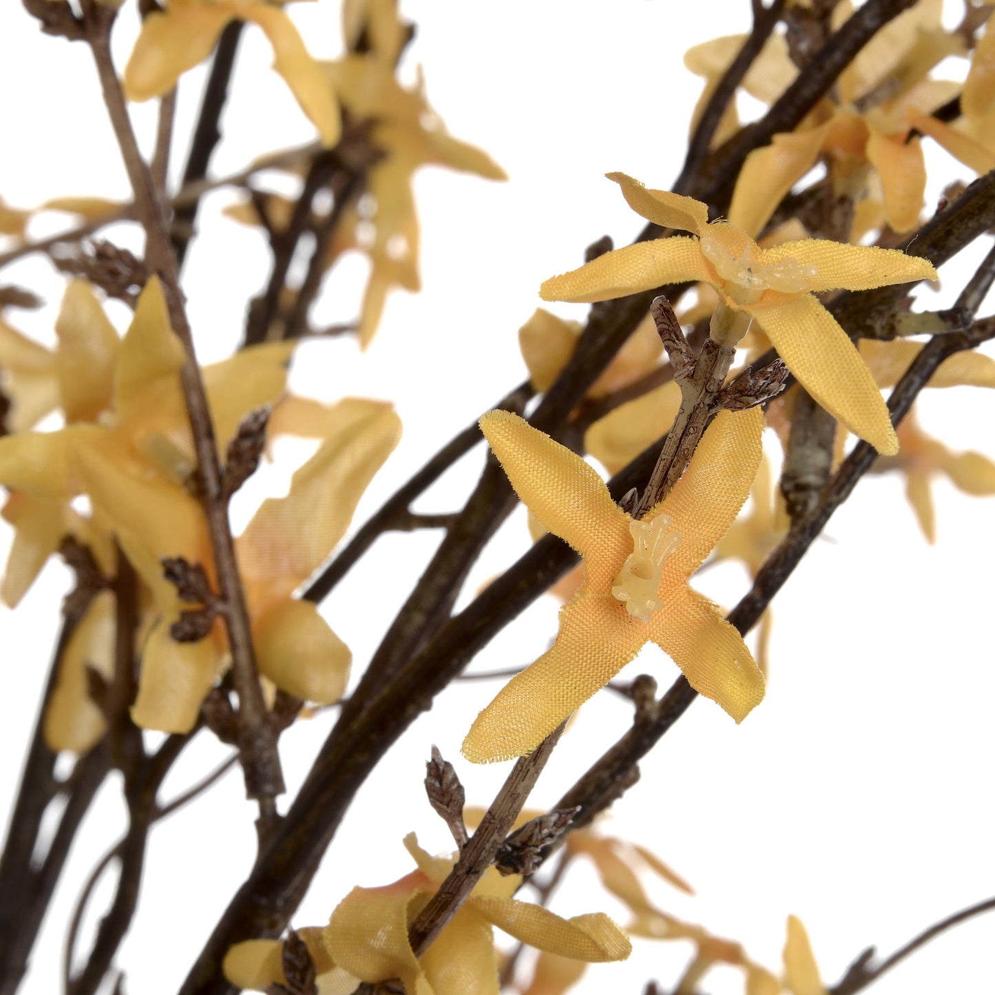Skandi London Forsythia