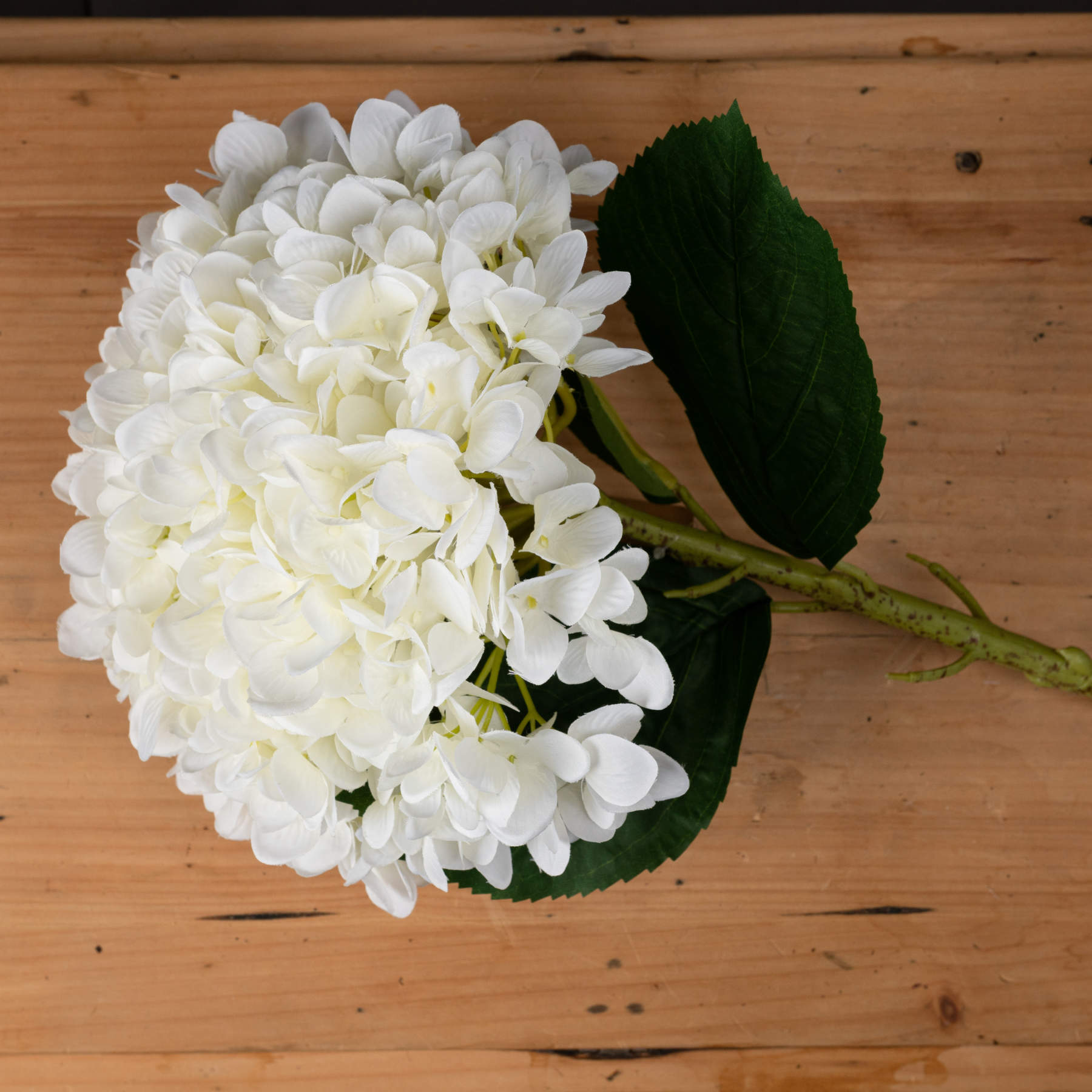 Skandi London Oversized White Hydrangea - Skandi London