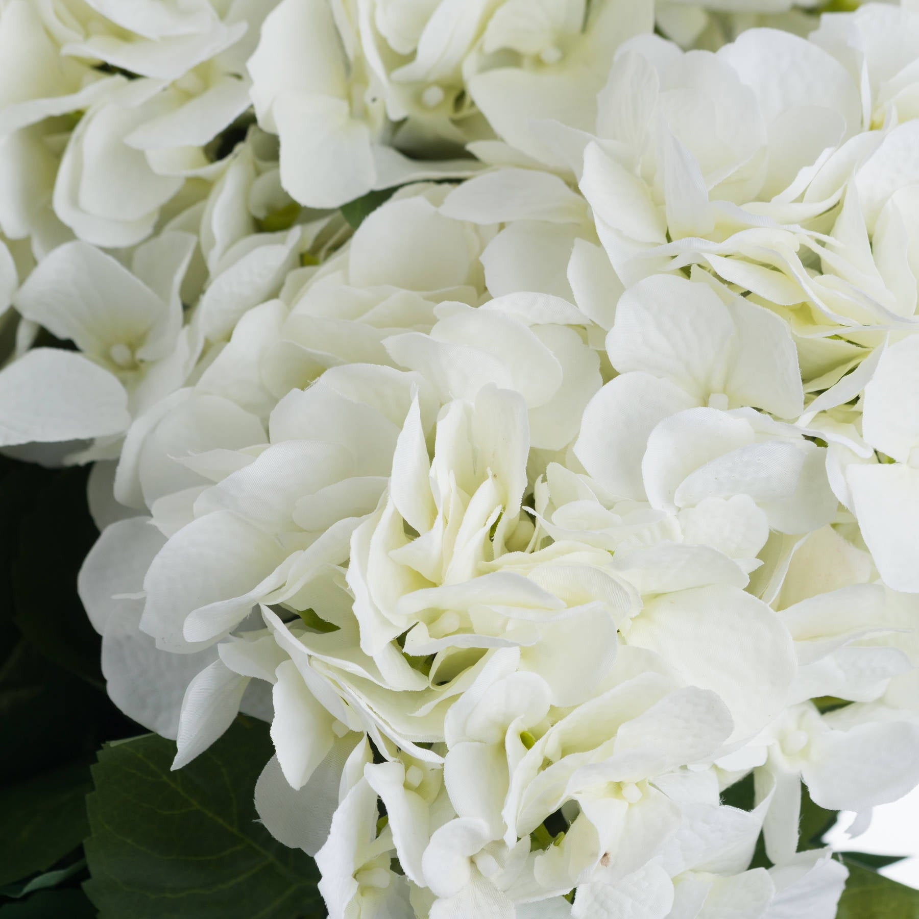 Skandi London White Hydrangea Bouquet - Skandi London