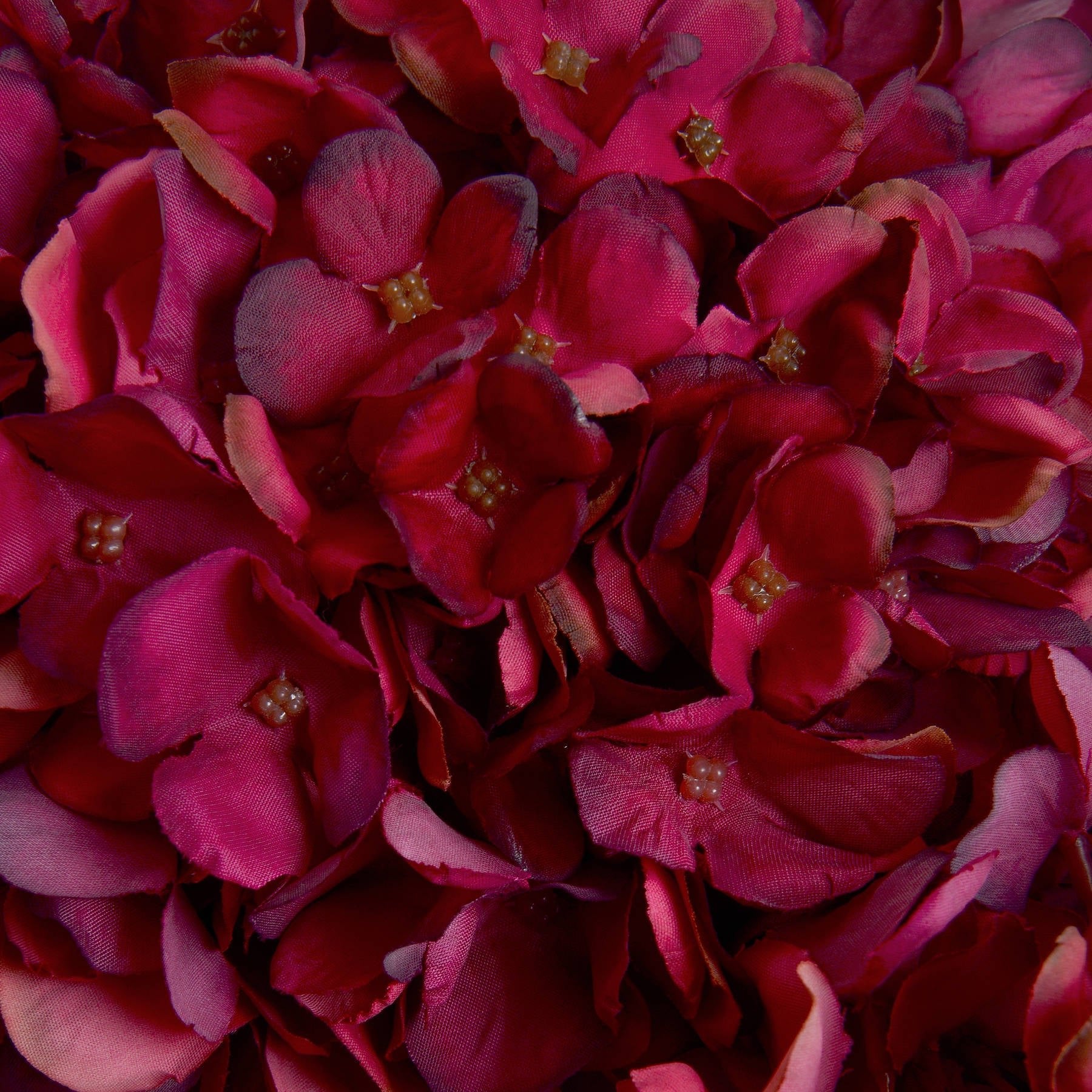 Skandi London Autumn Ruby Hydrangea - Skandi London