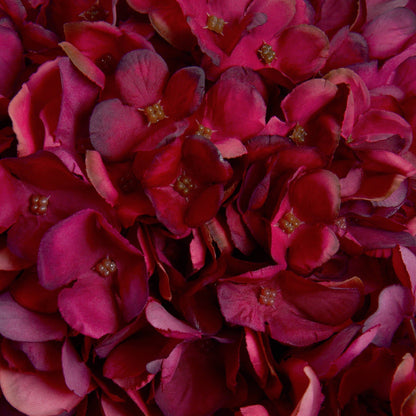 Skandi London Autumn Ruby Hydrangea - Skandi London