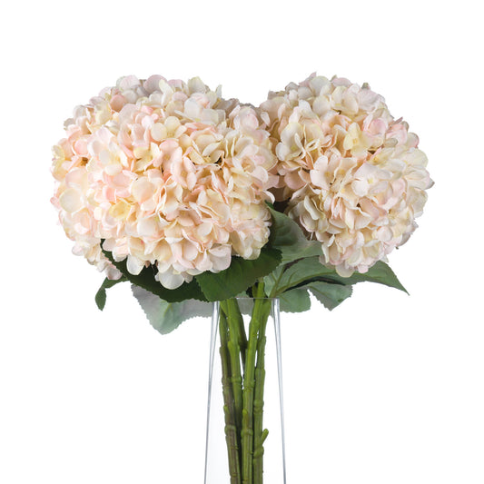 Skandi London Autumn White Hydrangea - Skandi London