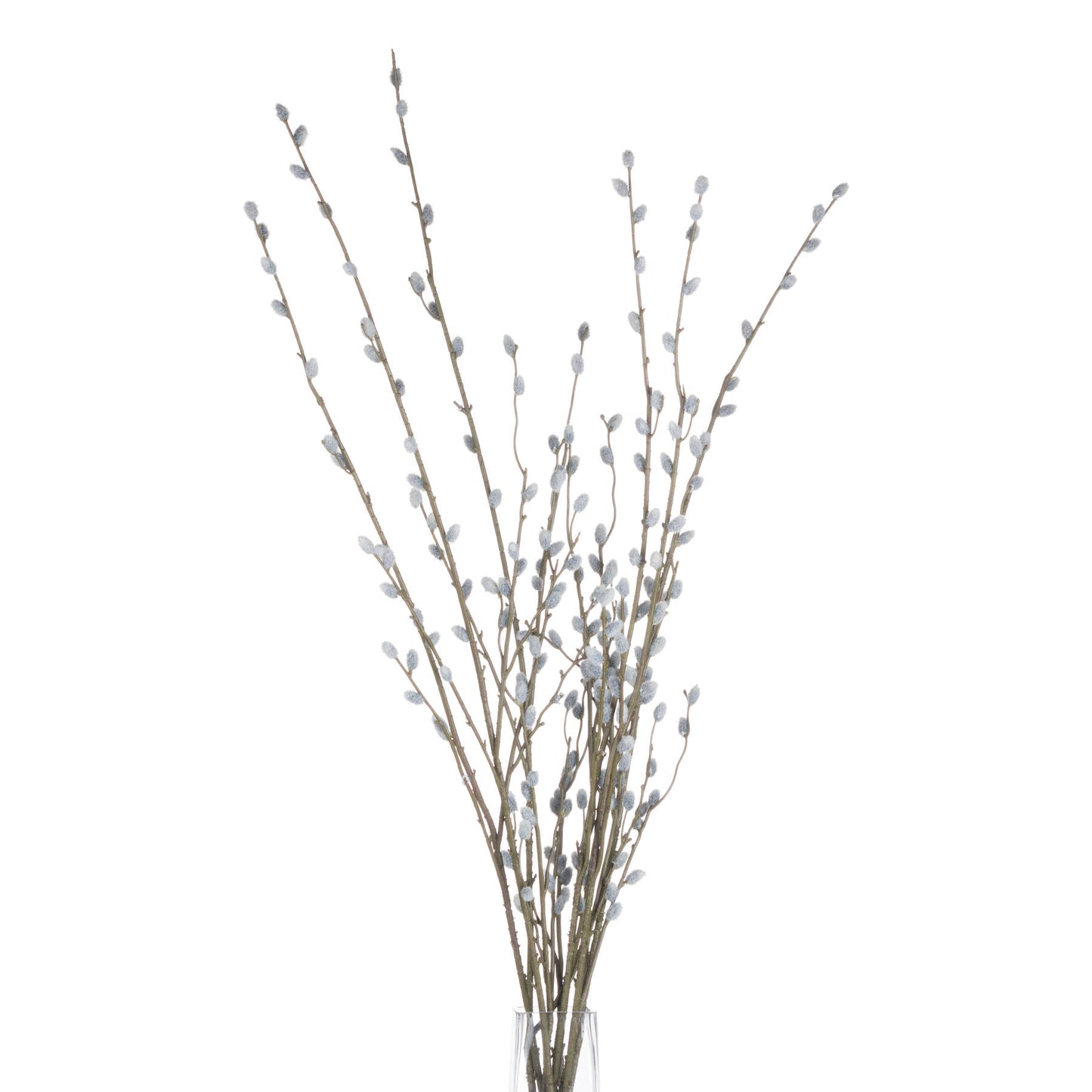 Skandi London Pussy Willow Branch - Skandi London