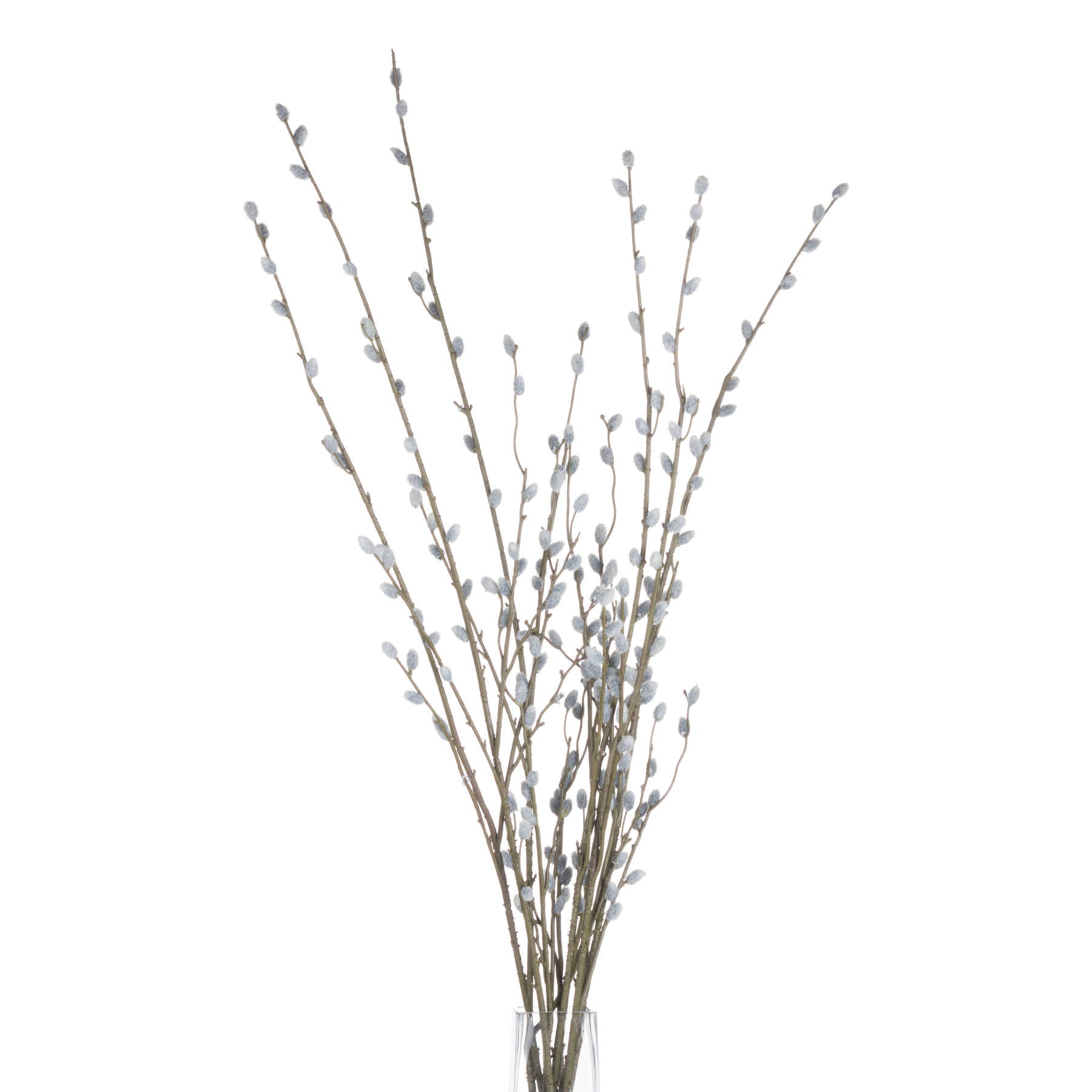 Skandi London Pussy Willow Branch - Skandi London