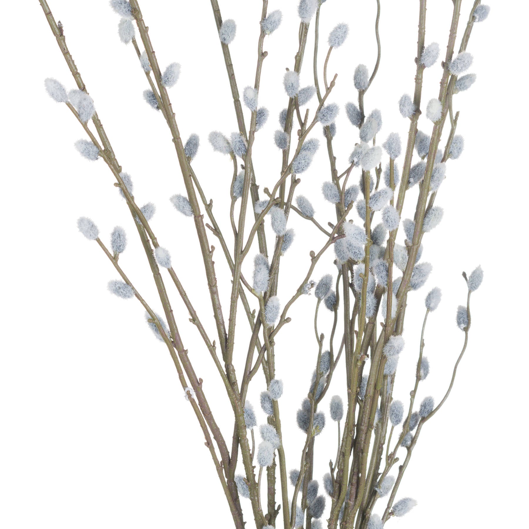 Skandi London Pussy Willow Branch - Skandi London