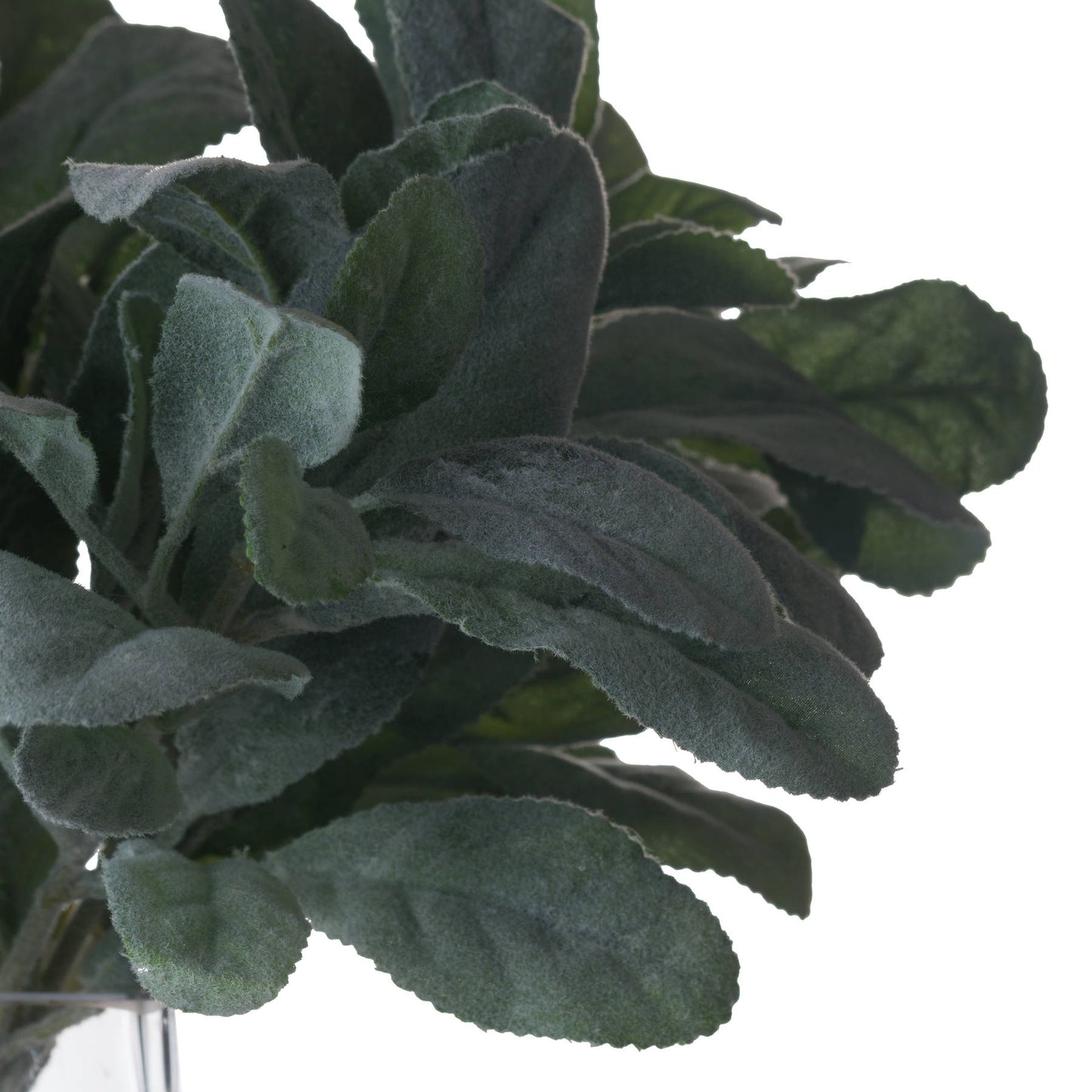 Skandi London Lambs Ear Spray - Skandi London