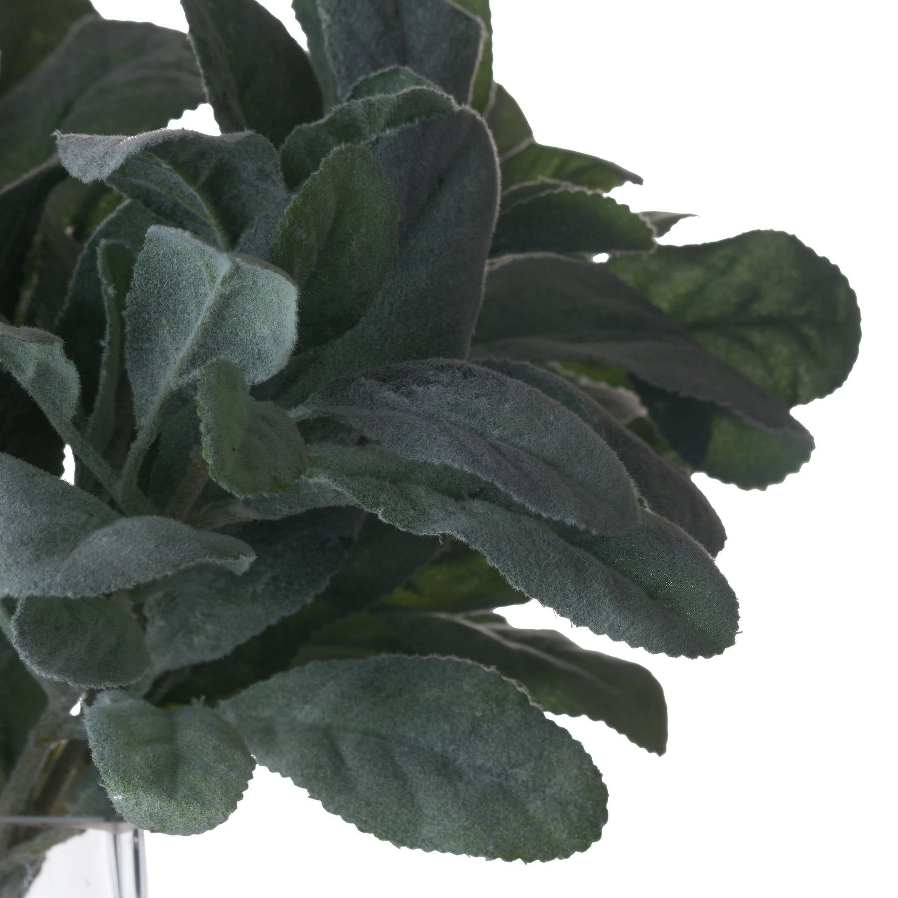 Skandi London Lambs Ear Spray - Skandi London