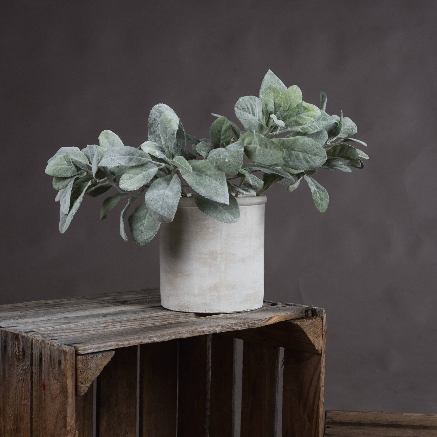 Skandi London Lambs Ear Spray - Skandi London