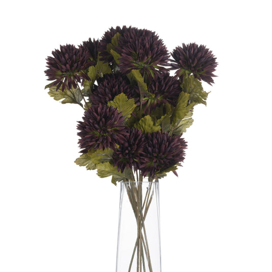 Skandi London Chocolate Chrysanthemum - Skandi London