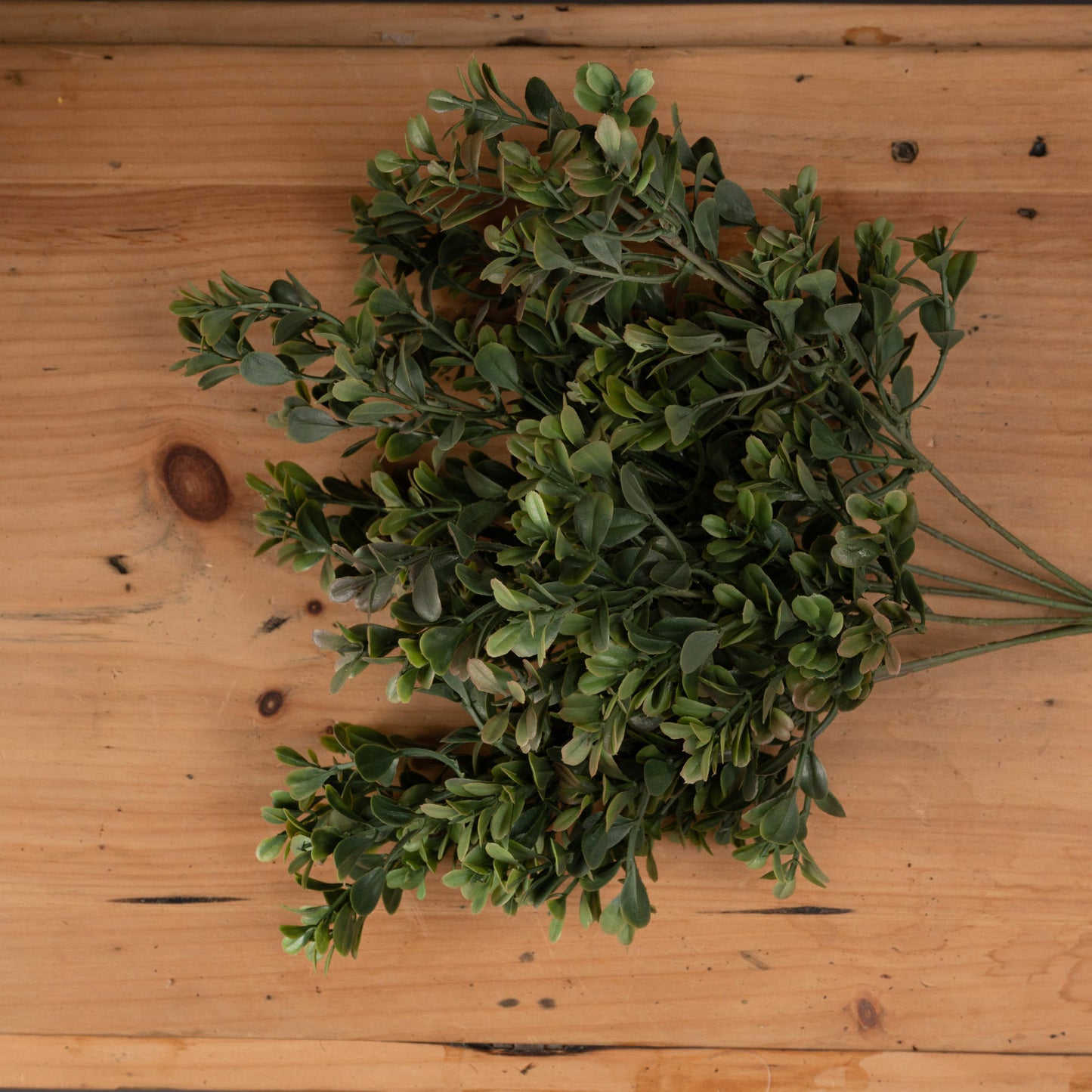 Skandi London Red Tipped Leaf Spray - Skandi London