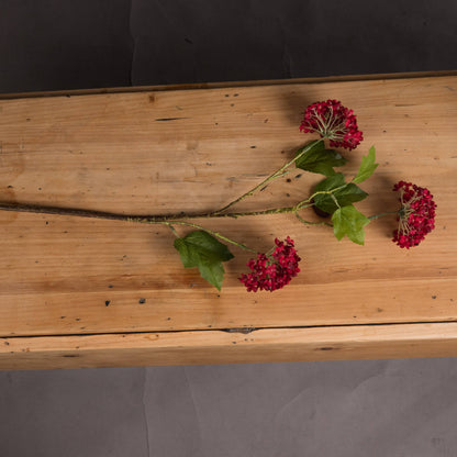 Skandi London Red Autumnal Viburnum - Skandi London