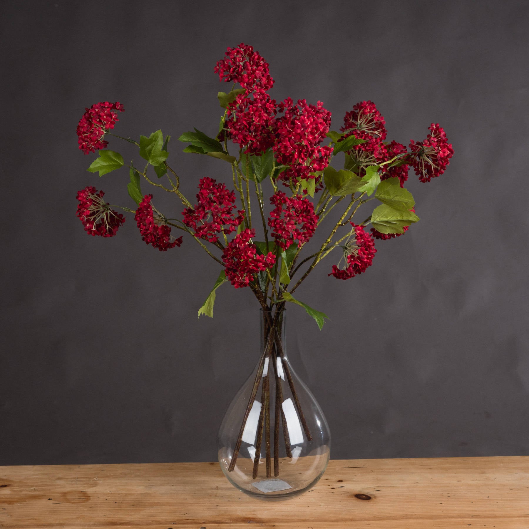 Skandi London Red Autumnal Viburnum - Skandi London