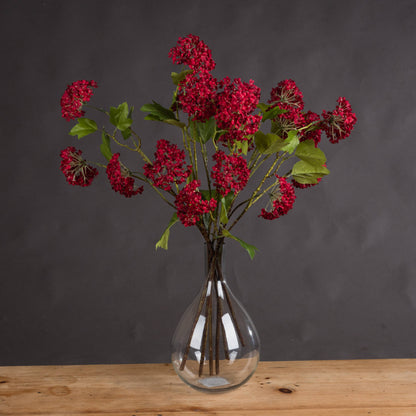 Skandi London Red Autumnal Viburnum - Skandi London