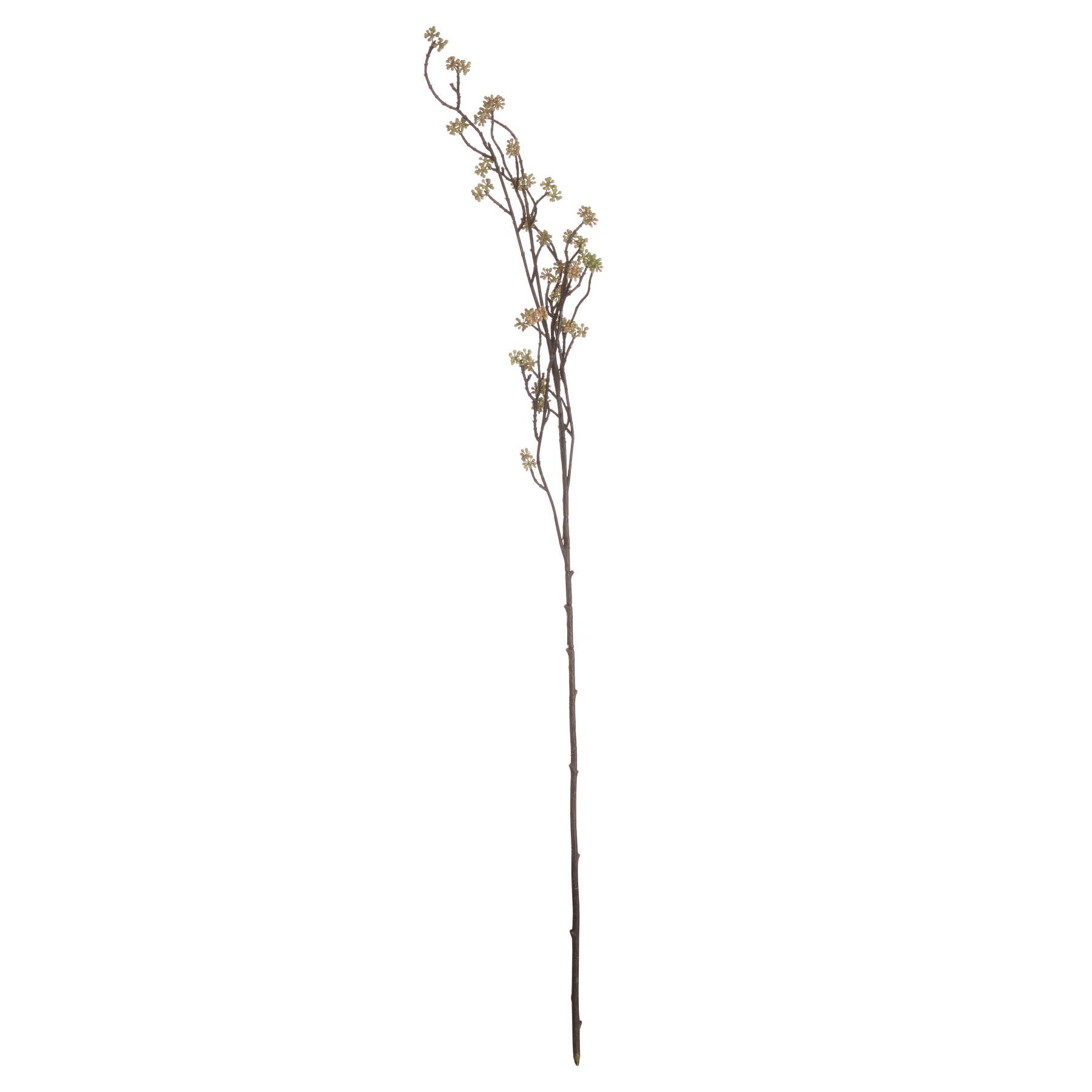 Skandi London Branch in Bloom Filler - Skandi London