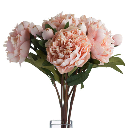 Skandi London Peach Peony Rose - Skandi London