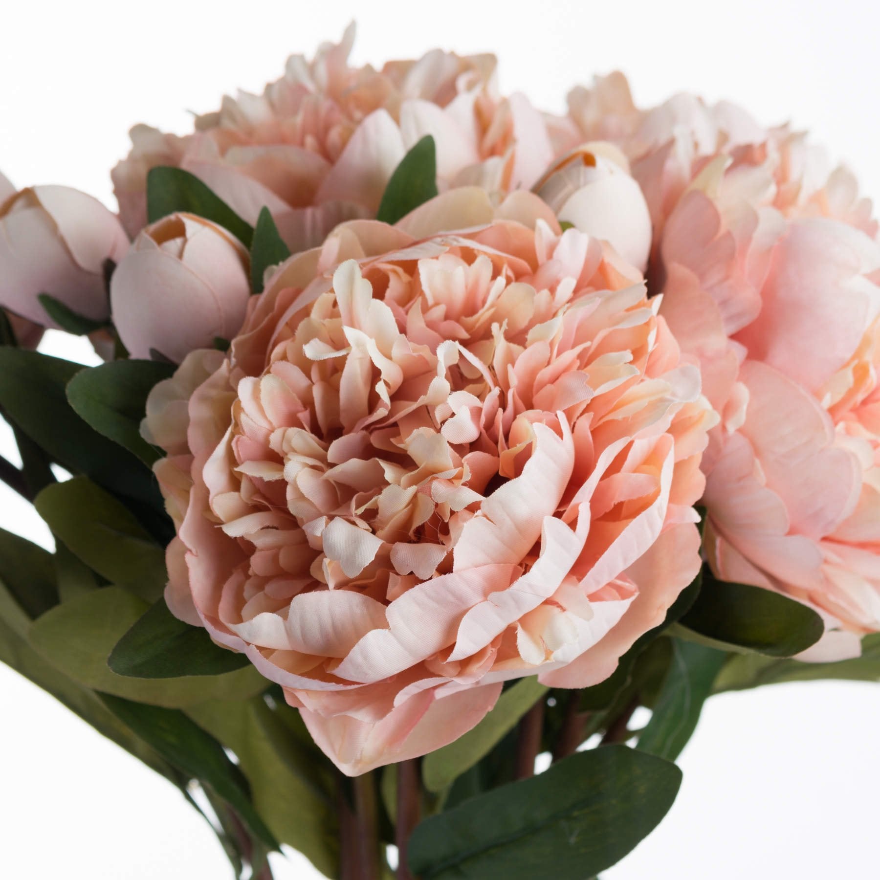 Skandi London Peach Peony Rose - Skandi London
