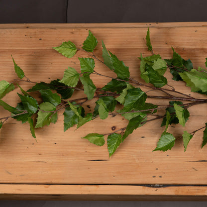 Skandi London Green Branch Spray