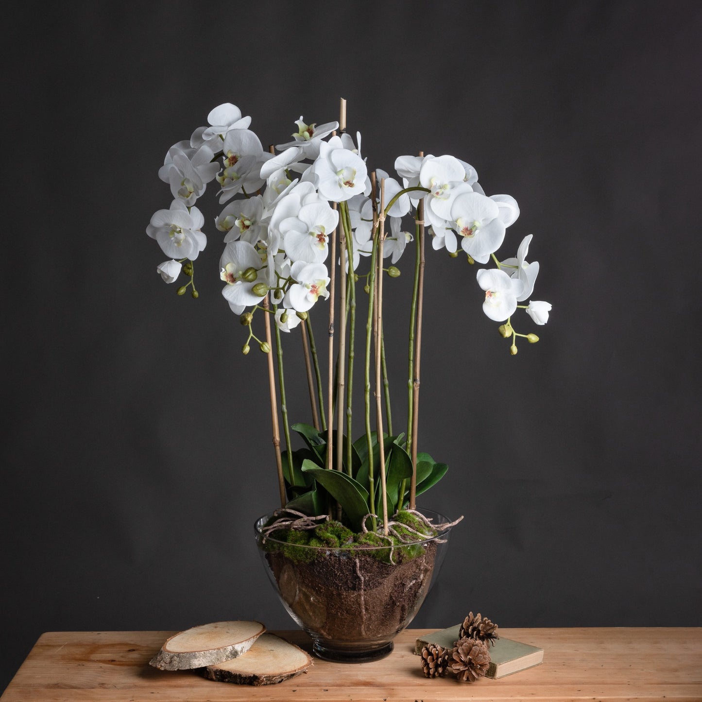Skandi London Large White Orchid In Glass Pot - Skandi London