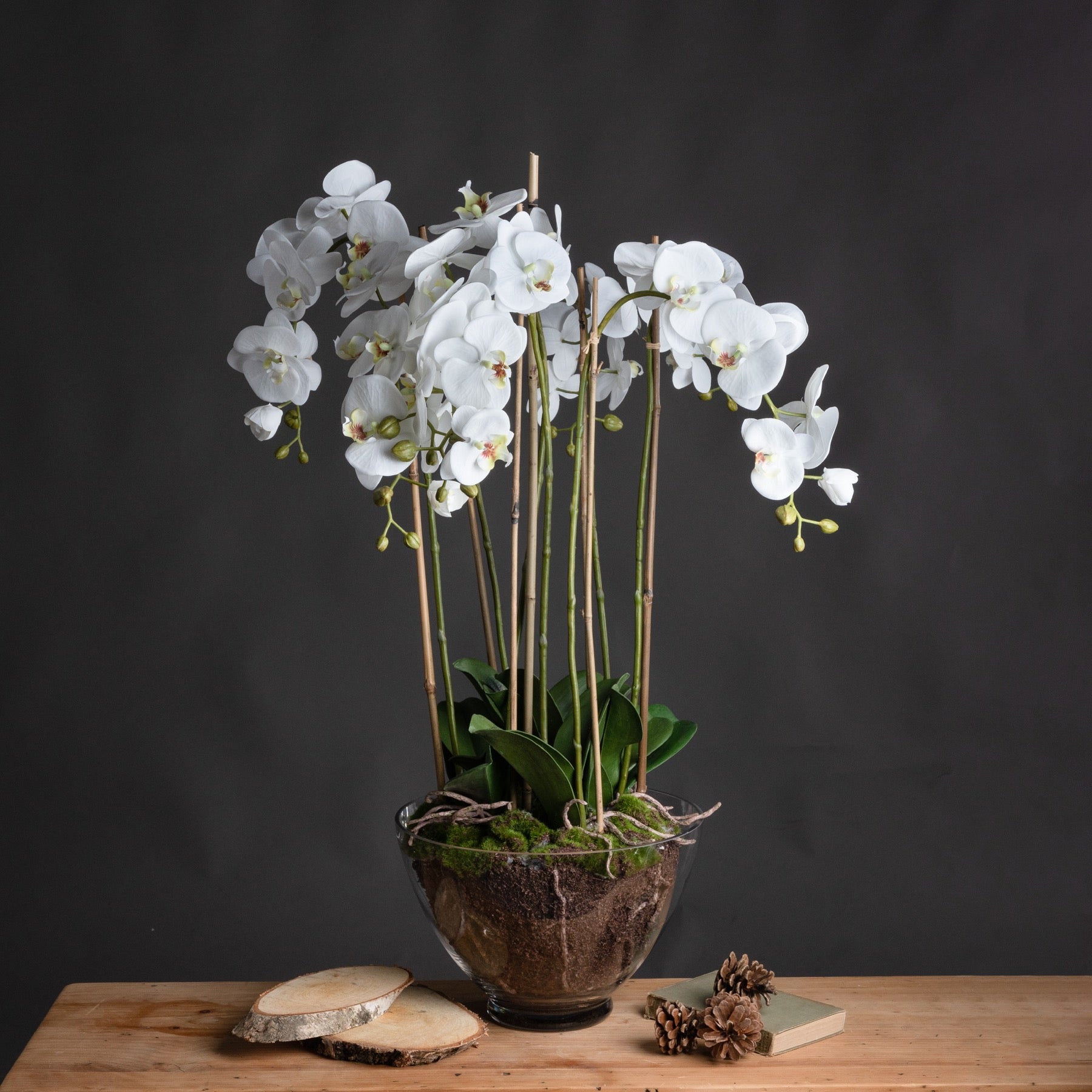 Skandi London Large White Orchid In Glass Pot - Skandi London