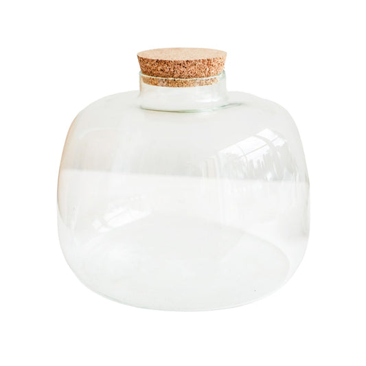 Asker Bowl Terrarium DIY Kit Large - Large - Skandi London