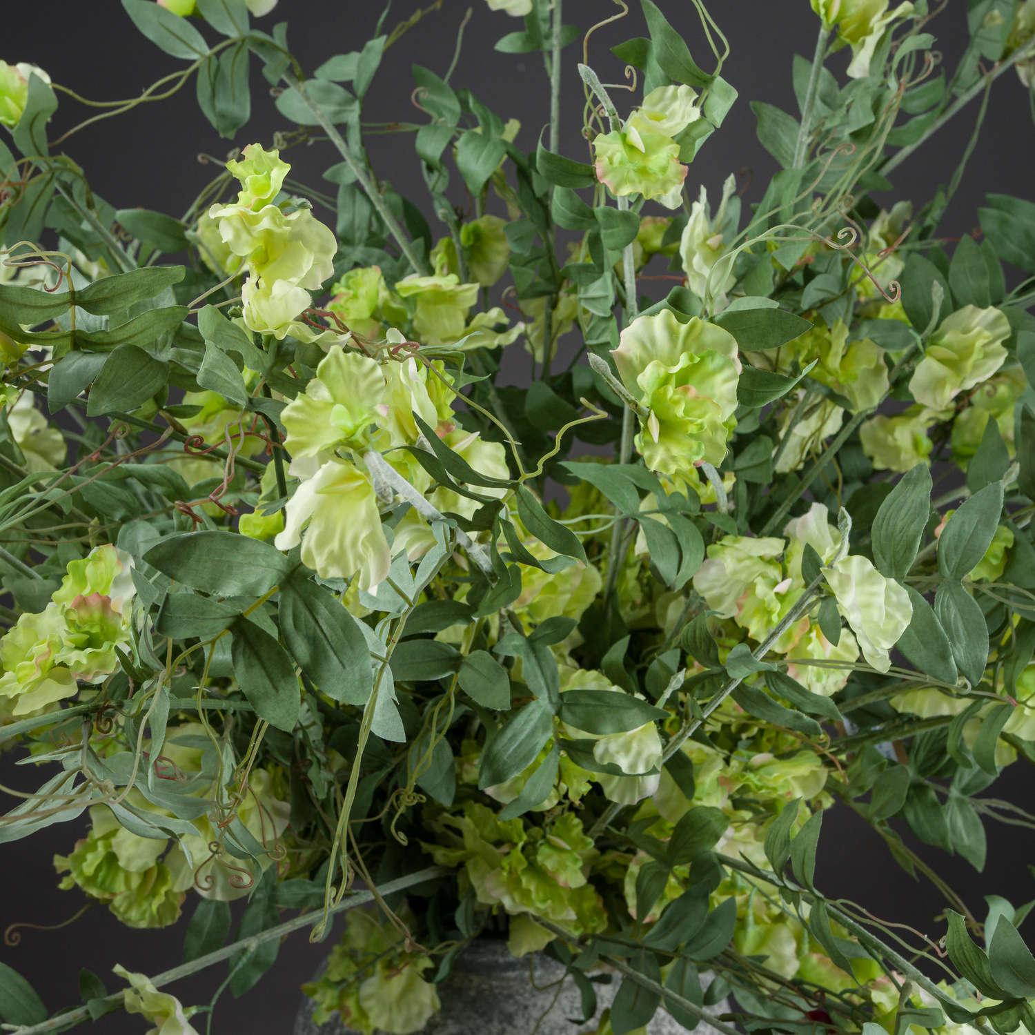 Skandi London Sweet Pea Trail - Skandi London