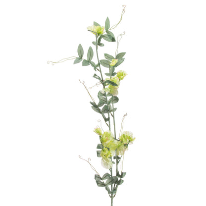 Skandi London Sweet Pea Trail - Skandi London