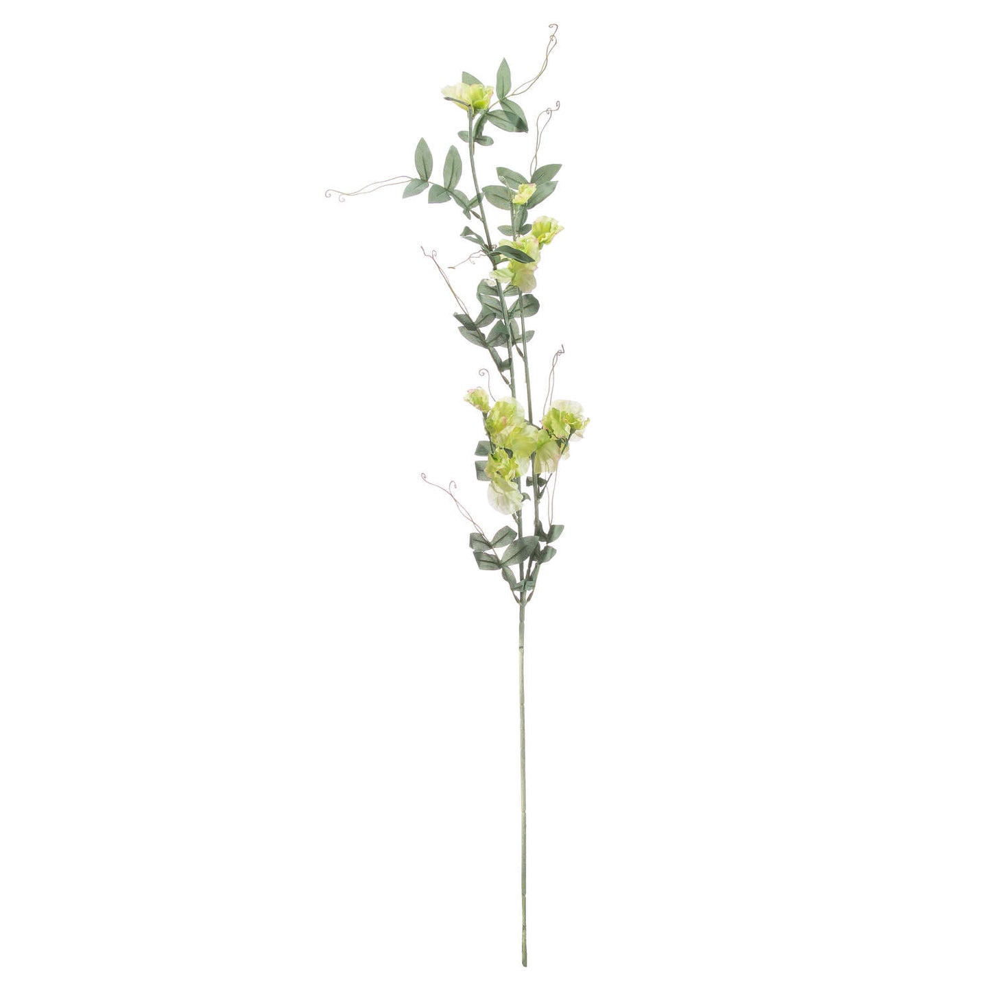 Skandi London Sweet Pea Trail - Skandi London