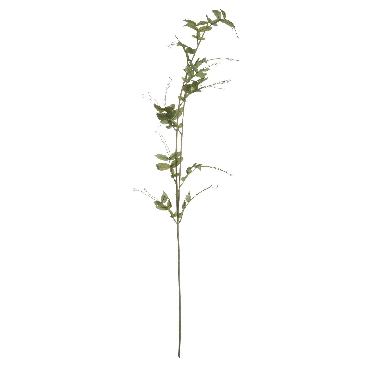 Skandi London Sweet Pea Trail - Skandi London