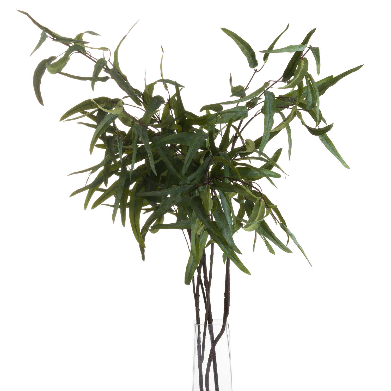 Skandi London Eucalyptus Nicholii Spray - Skandi London