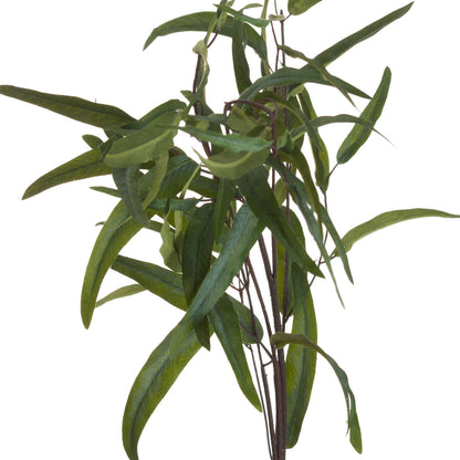 Skandi London Eucalyptus Nicholii Spray - Skandi London