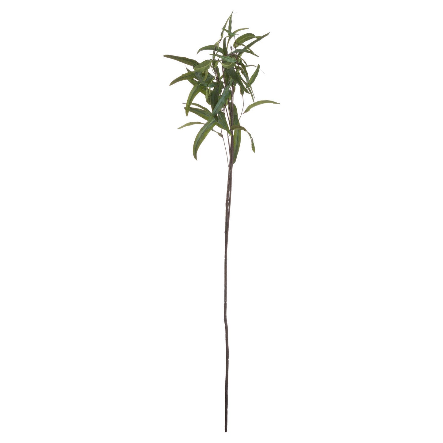 Skandi London Eucalyptus Nicholii Spray - Skandi London
