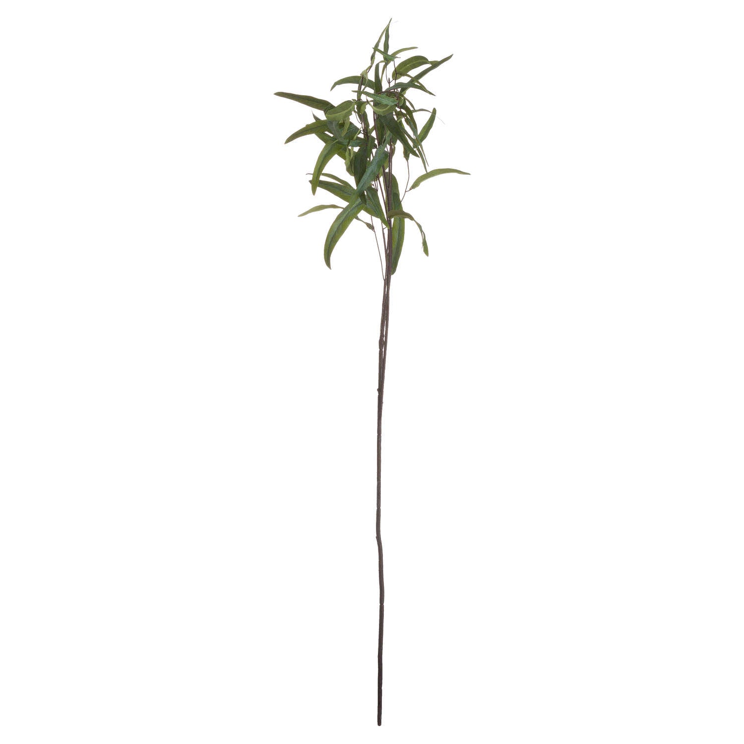 Skandi London Eucalyptus Nicholii Spray - Skandi London