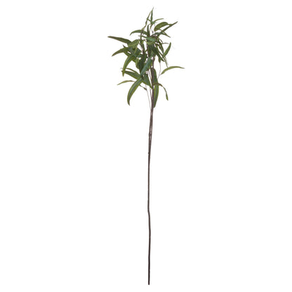 Skandi London Eucalyptus Nicholii Spray - Skandi London