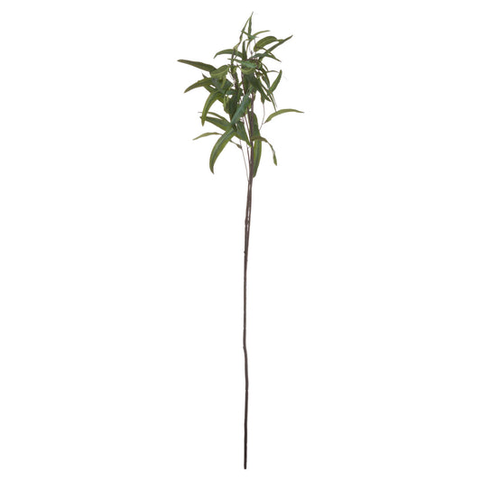 Skandi London Eucalyptus Nicholii Spray - Skandi London