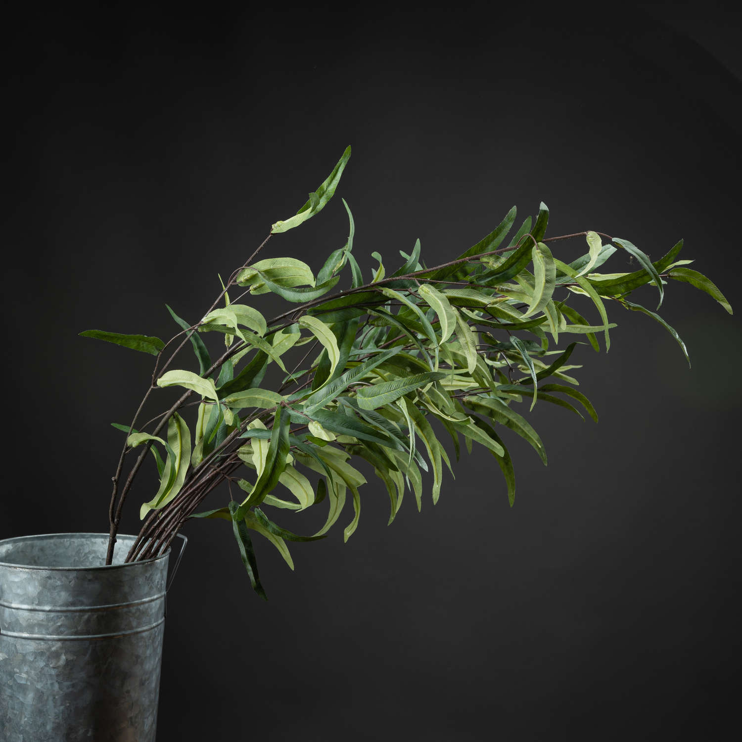 Skandi London Eucalyptus Nicholii Spray - Skandi London
