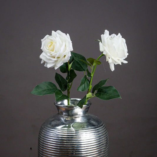 Skandi London Large White Garden Rose - Skandi London
