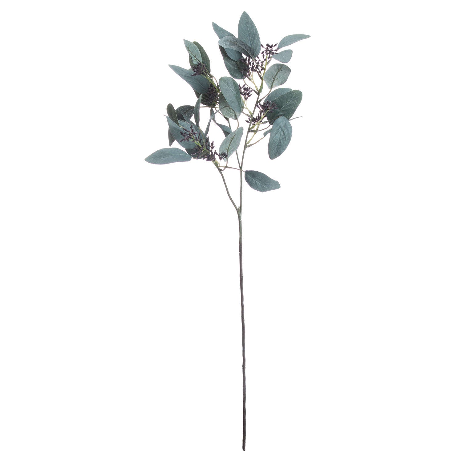 Skandi London Seeded Eucalyptus Stem - Skandi London