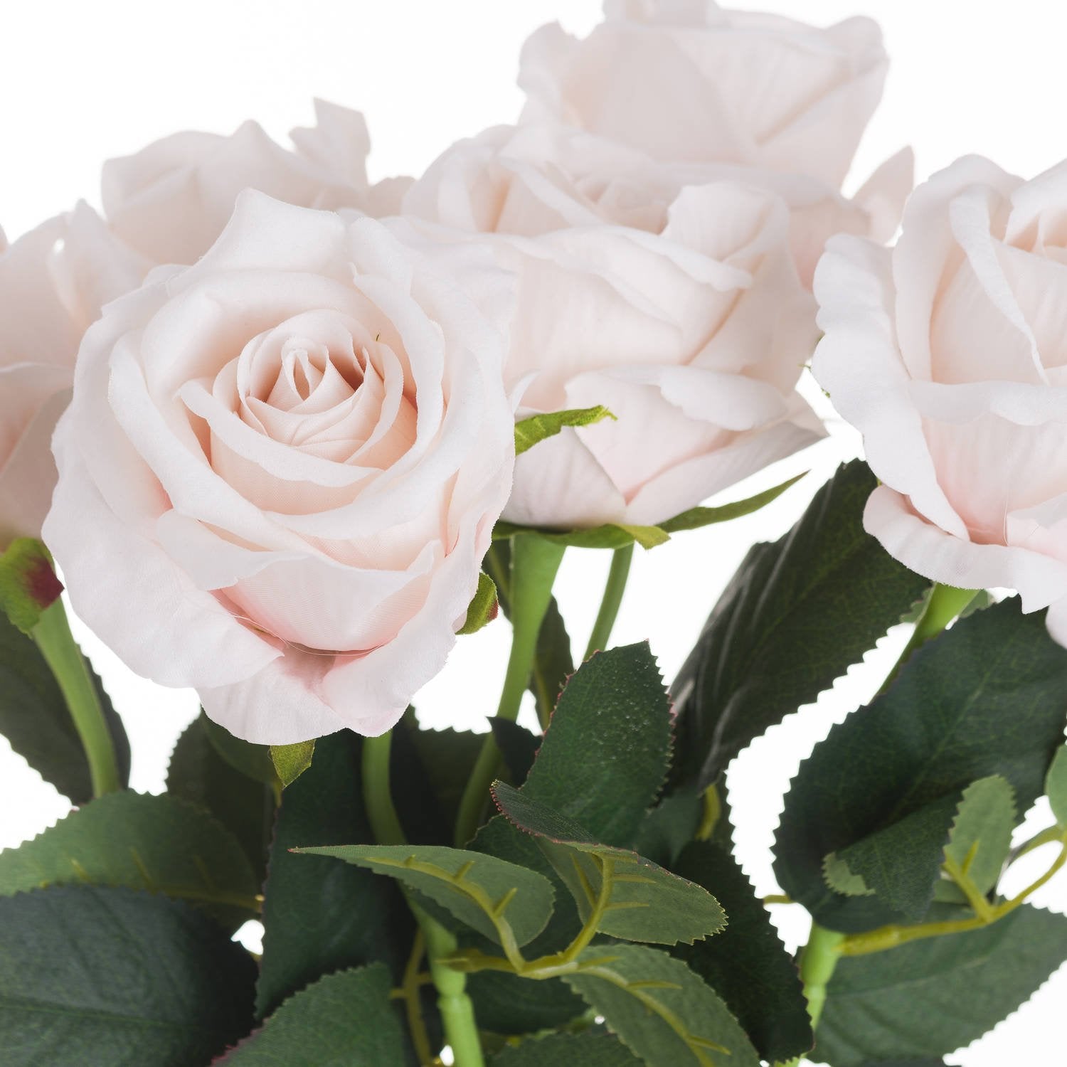Skandi London Pastel Pink Tea Rose - Skandi London