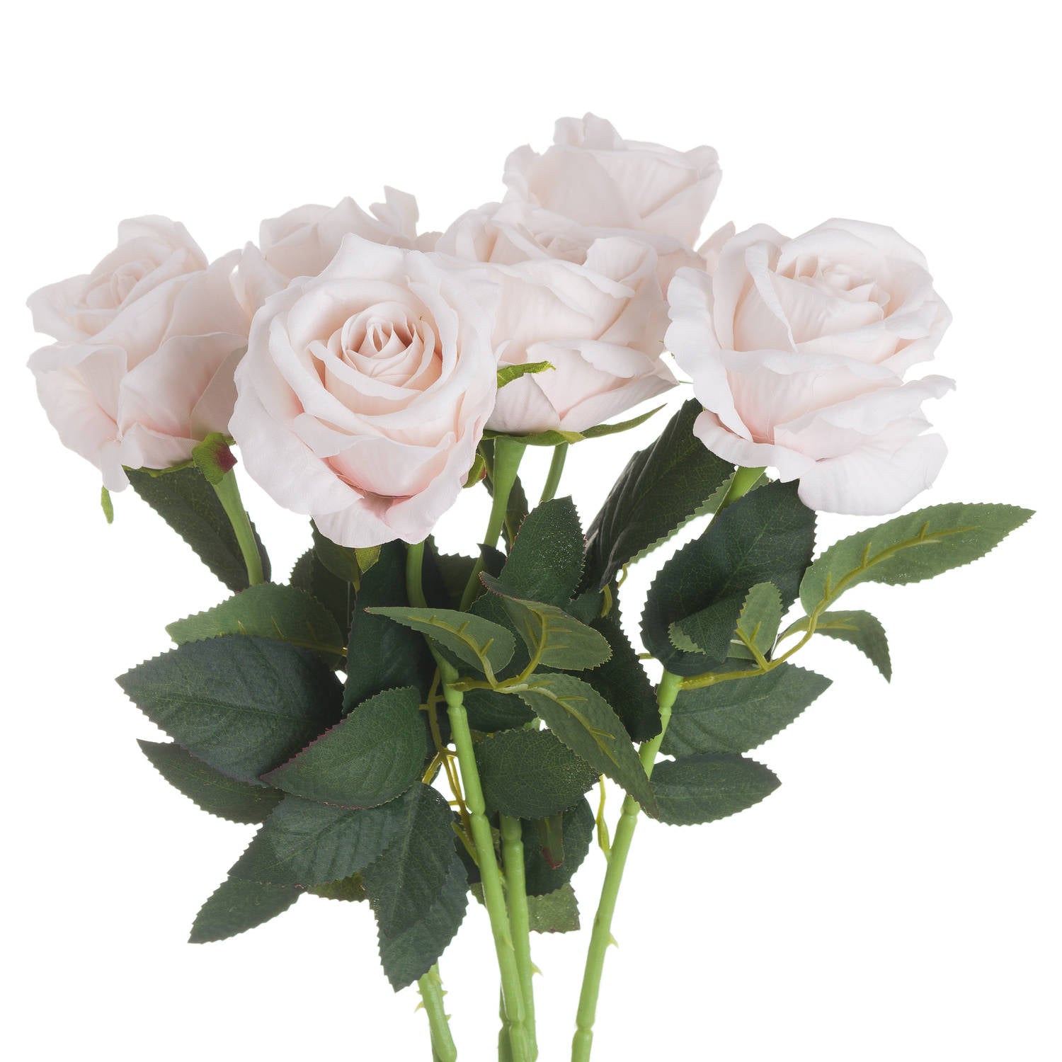 Skandi London Pastel Pink Tea Rose - Skandi London