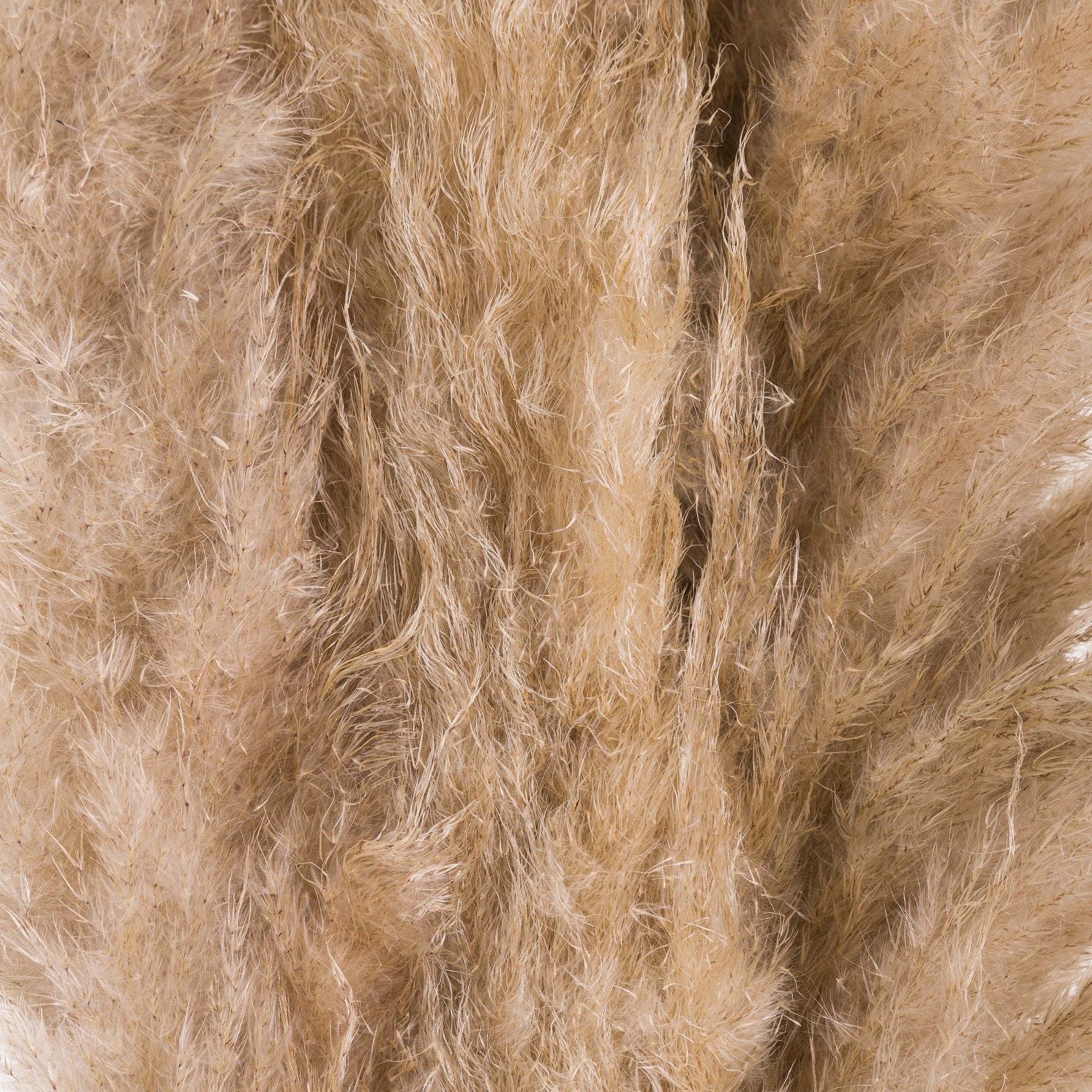 Skandi London Butter Pampas Grass - Skandi London