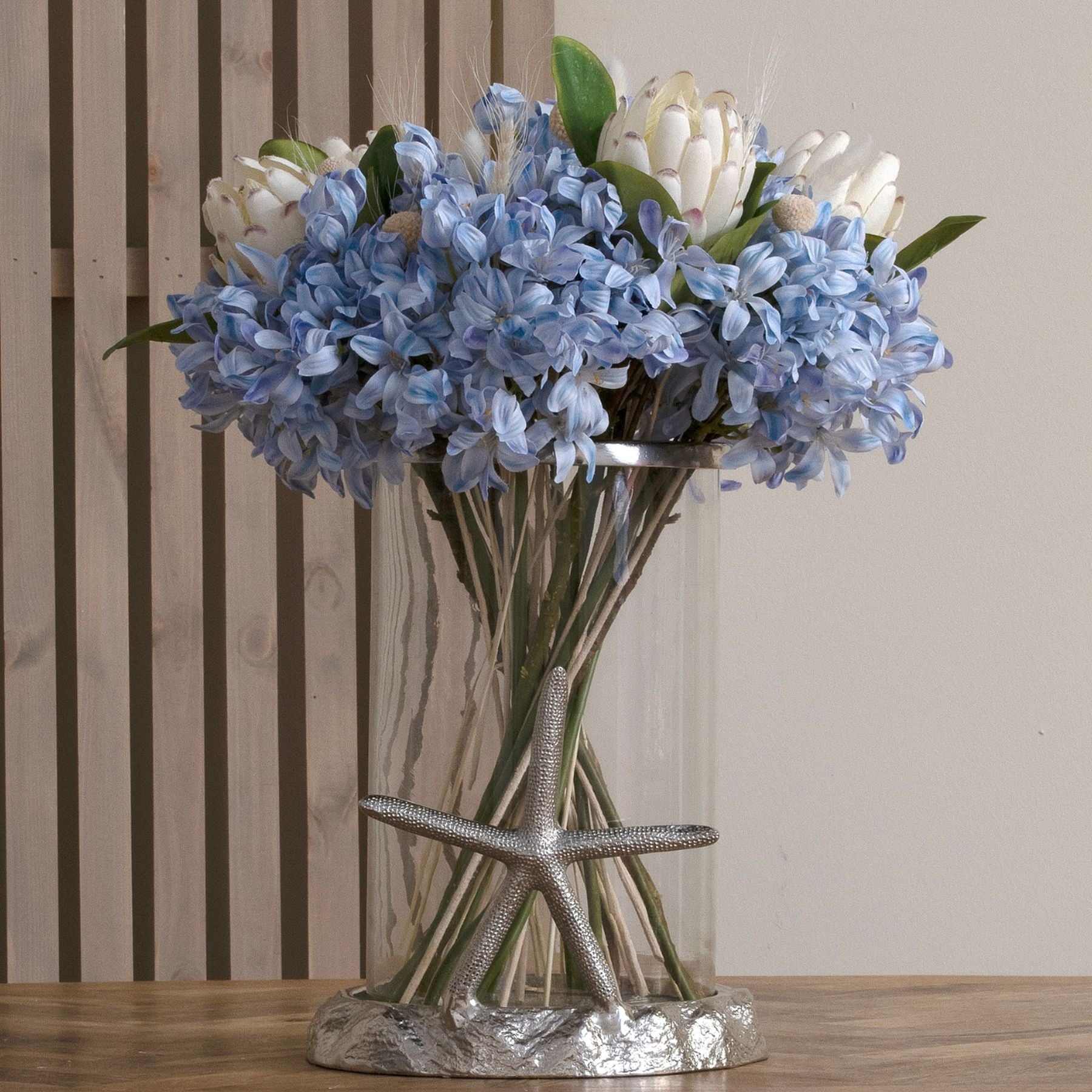 Skandi London Light Blue Large Headed Agapanthus - Skandi London