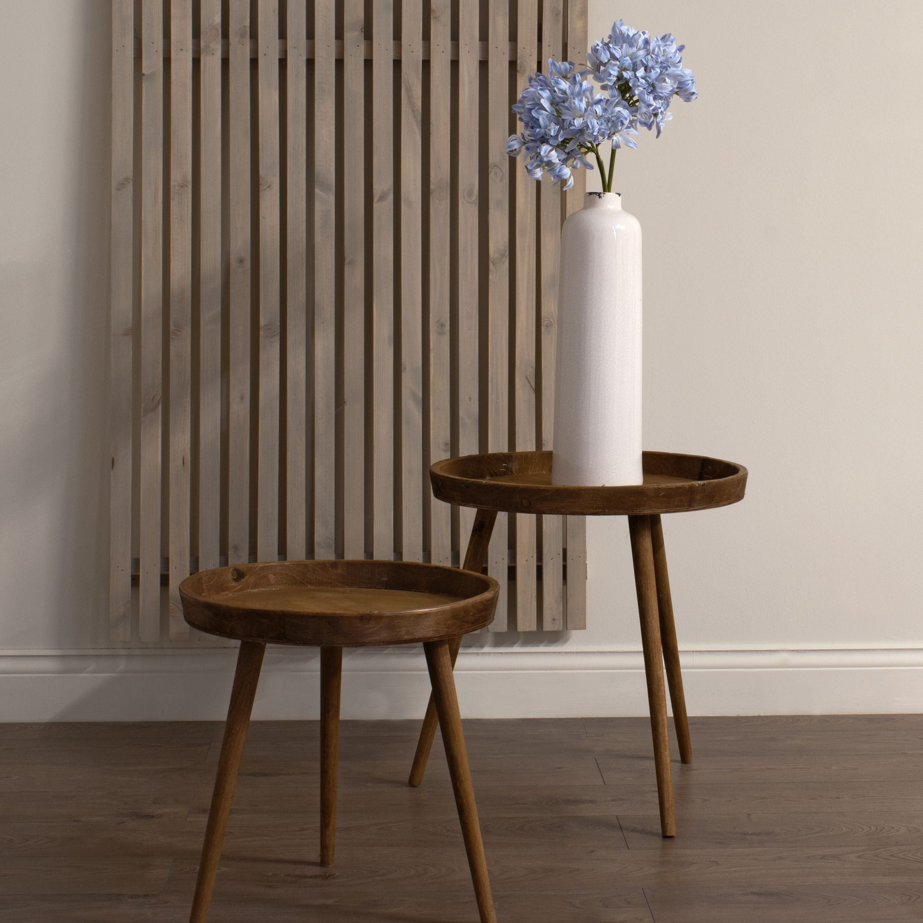 Skandi London Light Blue Large Headed Agapanthus - Skandi London